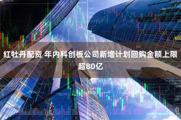 红牡丹配资 年内科创板公司新增计划回购金额上限超80亿